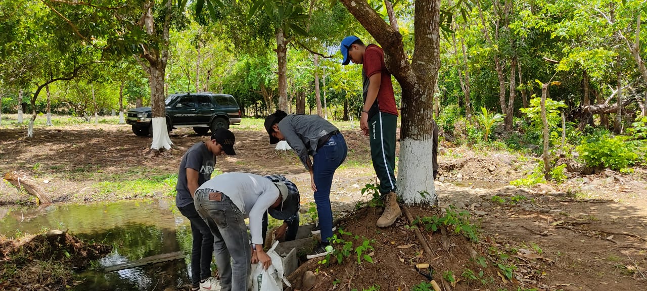 Imagen del año 2022